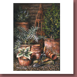 Beside the Potting Shed